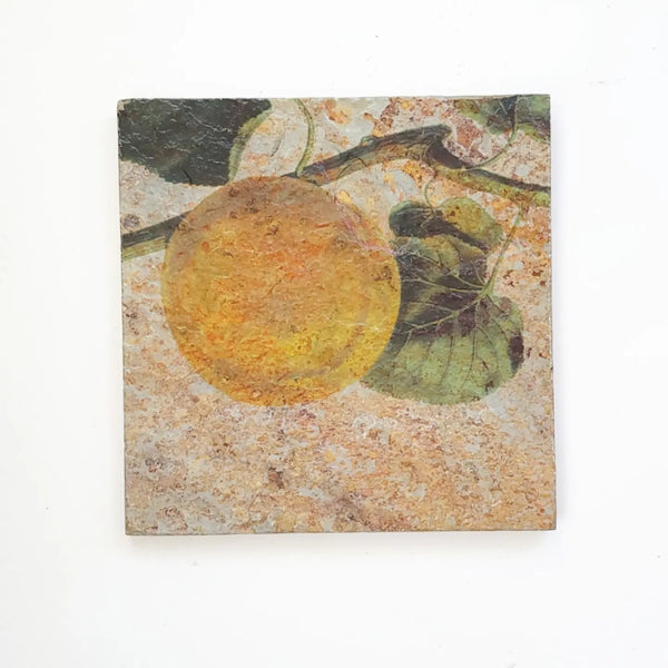 Apricot On Tile
