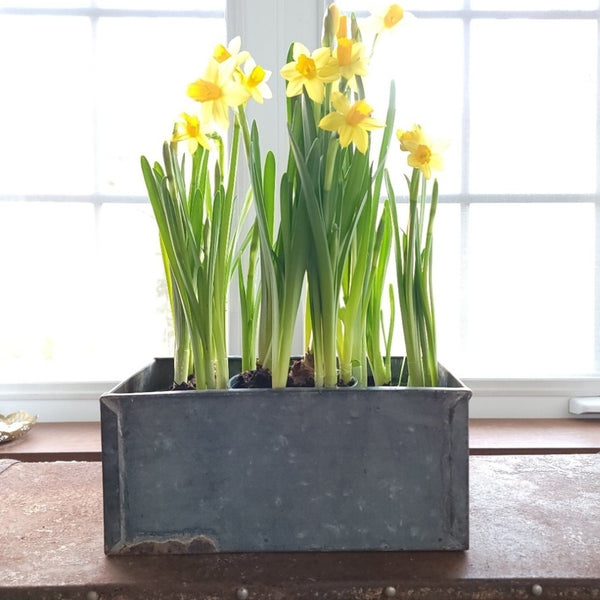 Rustic Galvanized Planter Window Box